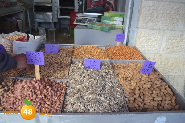 mokasaratshadyjamal (3).JPG